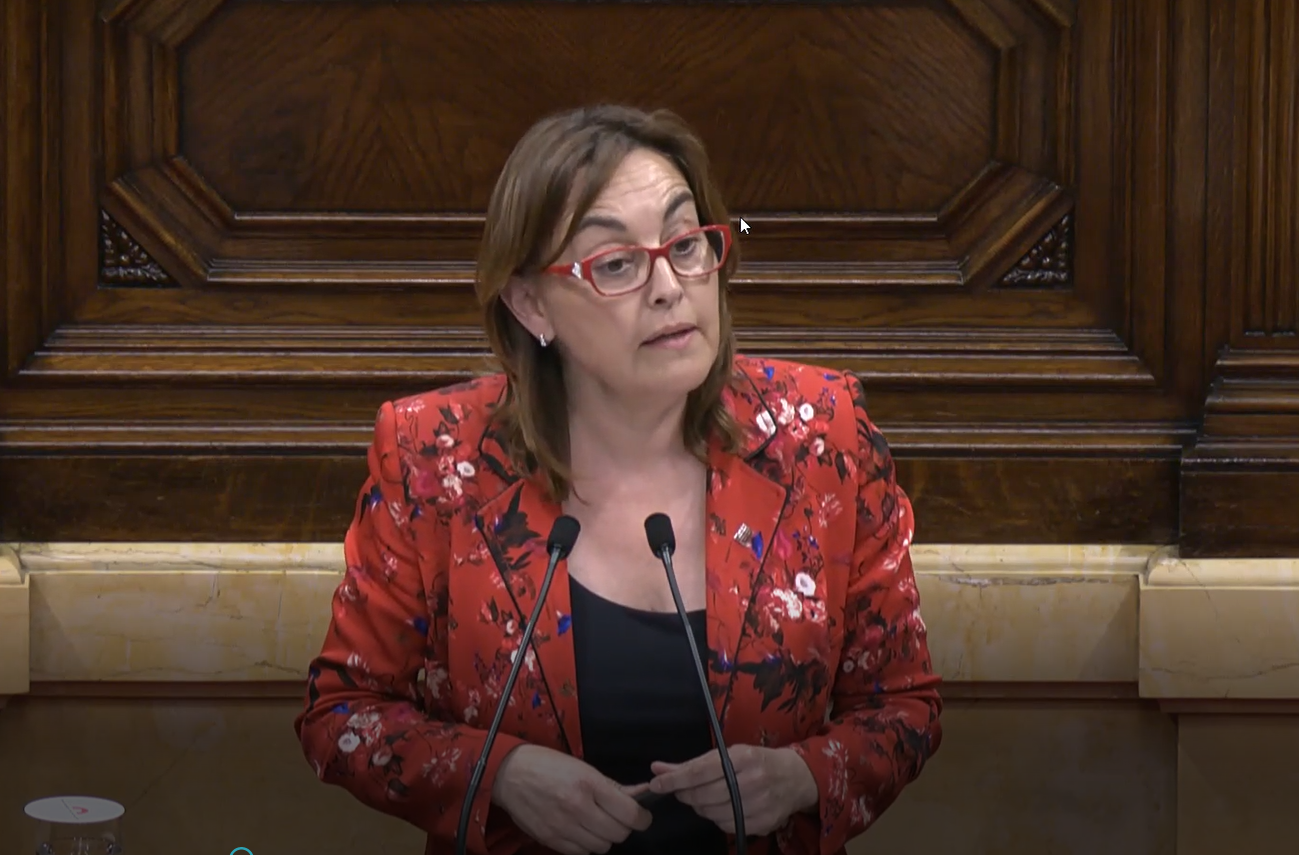 Sílvia Paneque recorda al govern català la necessitat d’adoptar les recomanacions derivades del pla REPowerEU