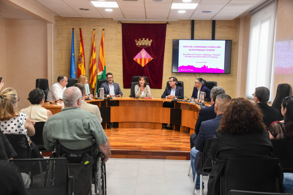 Impulsem les renovables i la descarbonització amb compromís de país