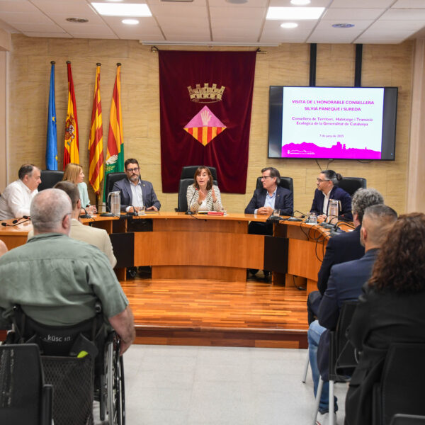Impulsem les renovables i la descarbonització amb compromís de país