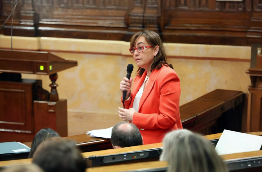 Ple del Parlament: impuls als projectes de país