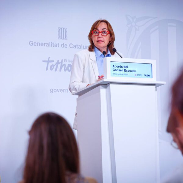 Acords de govern de 29 de juliol