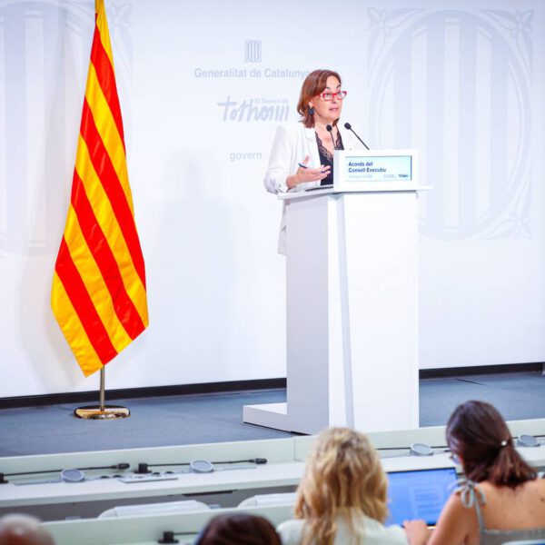 Acords de govern de 15 de juliol