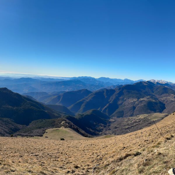Pressupostos de carboni pioners a tot el món